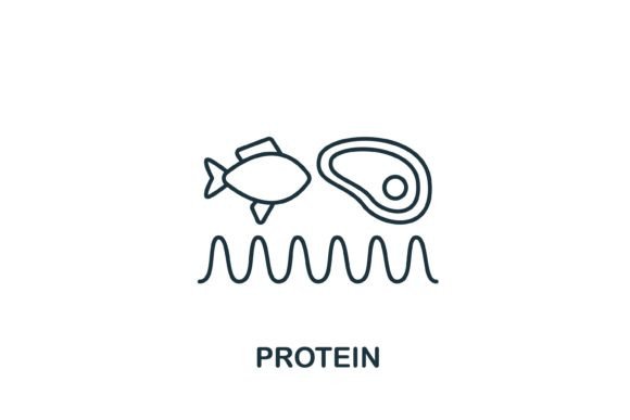 Protein Icon: A Versatile Graphic Design Asset for Modern Branding